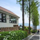 카페카사비앙카 | [남해미국마을카페]남해 미국마을 카사비앙카 카페 여기 분위기 미쳤어요