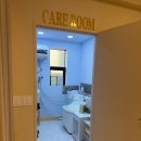 테일러퍼피 이미지