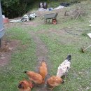 동강농장 이미지