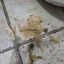 익산식당 네이버블로그
