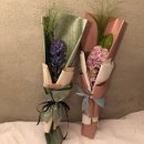 가행나무 이미지