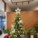 성안세탁 | 청주 호텔 추천 세종시티 오송호텔 트리플룸