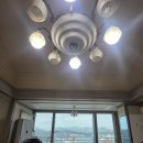 창원트리비앙탑공인중개사사무소 | 창원트리비앙아파트 31 급매(복층 귀한옥탑 트인조망 확장형 주차2층연결 빠른이사가능)절충가...