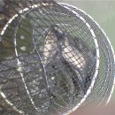 양사낚시터 이미지