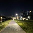 황새울교 앞 이미지