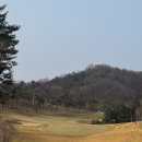 참화이트춘천대리점 | 춘천 명문 베어크리크춘천CC 라운딩 후기 (티간격9분)