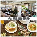 플렌터(Planter) | 광안리 브런치 맛집 플렌터 솔직 후기! 유아동반·반려동물동반 가능 카페