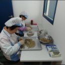 커피 팩토리 봄 이미지
