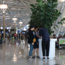 환전 ‘웨이즈’ 직원들이 인천공항 화분 뒤에 숨는 사연 이미지