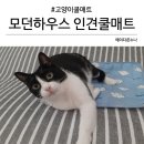 모던하우스 펫본 유모차 겸용 강아지 고양이 인견쿨매트 M 내돈내산