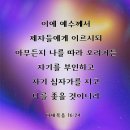 참 사랑의 길 - 제자의 길 이미지