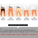 송도위드치과