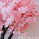 위니키즈 이미지