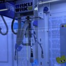 럭키뽑기방 이미지