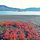 동진포 석축나루터 이미지