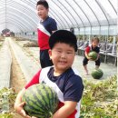 맹동농장 이미지