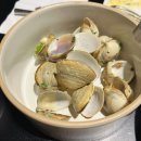 뽀빠이카타운 | [2024년 4월 일상] 디텍트, 크루빈, 별꽃상점, 성산패총, 기업사랑공원