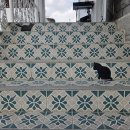 하얀쉼터 이미지