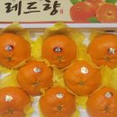 금두꺼비 이미지