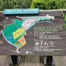 한솔화원 이미지