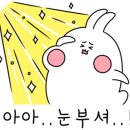 엔티존 이미지
