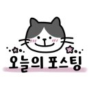 펫 마마의 집 이미지