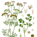 고수2로 이미지