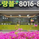 힐스테이트판교역공인중개사사무소 이미지