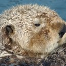 SEA & STAY 이미지