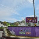 운용농장 이미지