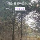 영수목장 이미지