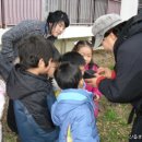 당평초등학교 이미지