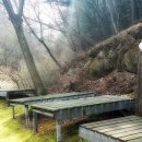 천지황찜질방 이미지