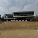 골든트리 | 가평 최고의 대형 뷰 카페 ❛골든트리❜ 내돈내산 후기 (주차장, 남이섬 근처, 북한강 뷰)