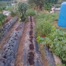 꼬망세어린이집 이미지