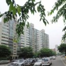 무궁화코오롱 이미지