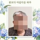 배꽃미용실