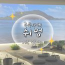 성산마을 동백하우스토리 | 제주 동쪽 관광지 가볼만한 곳 일출랜드 미천굴 동백족욕체험 제주 족욕체험 제주족욕카페 : 족욕카페쉬멍