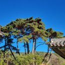 팔공산올레길 7코스 이미지