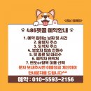 486펫콜 이미지