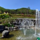 계양산산림욕장(장미원) 이미지