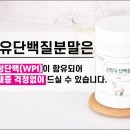 엠퍼씨 - 서초구 | 엠퍼씨
