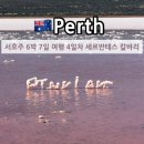서호주 퍼스 로드트립 6박 7일 여행 바다사자 씨라이언 스노쿨링 투어 랍스터쉑 헛 라군 핑크 호수 레드...