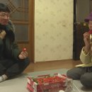 이웃사랑팜 쿠키뉴스