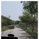 풀그리다 이미지