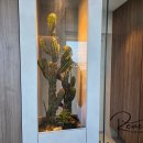 펜톤나인 2호점 이미지