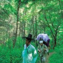 동산골 Daum카페