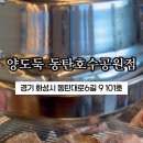 양도둑동탄