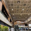 동방약국 | 김포공항 국제선 동방항공 MU512 (김포-상하이) 기내식 후기