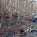 생거진천자연휴양림 이미지